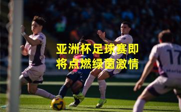 亚洲杯足球赛即将点燃绿茵激情