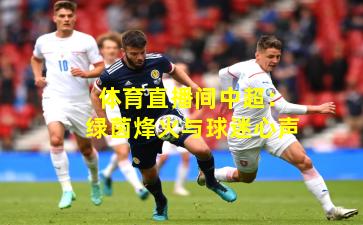 体育直播间中超：绿茵烽火与球迷心声