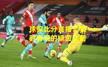 球探比分直播：实时赛况的绿茵之窗
