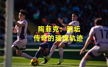 陶菲克:羽坛传奇的璀璨轨迹