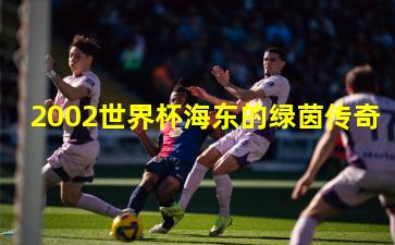 2002世界杯海东的绿茵传奇