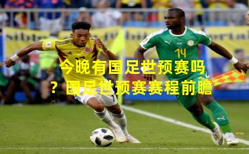 今晚有国足世预赛吗？国足世预赛赛程前瞻