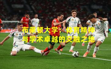 布莱顿大学：体育精神与学术卓越的交融之地