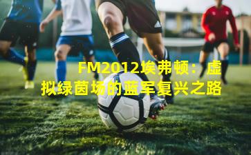 FM2012埃弗顿：虚拟绿茵场的蓝军复兴之路